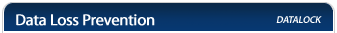 data loss prevention, datalock